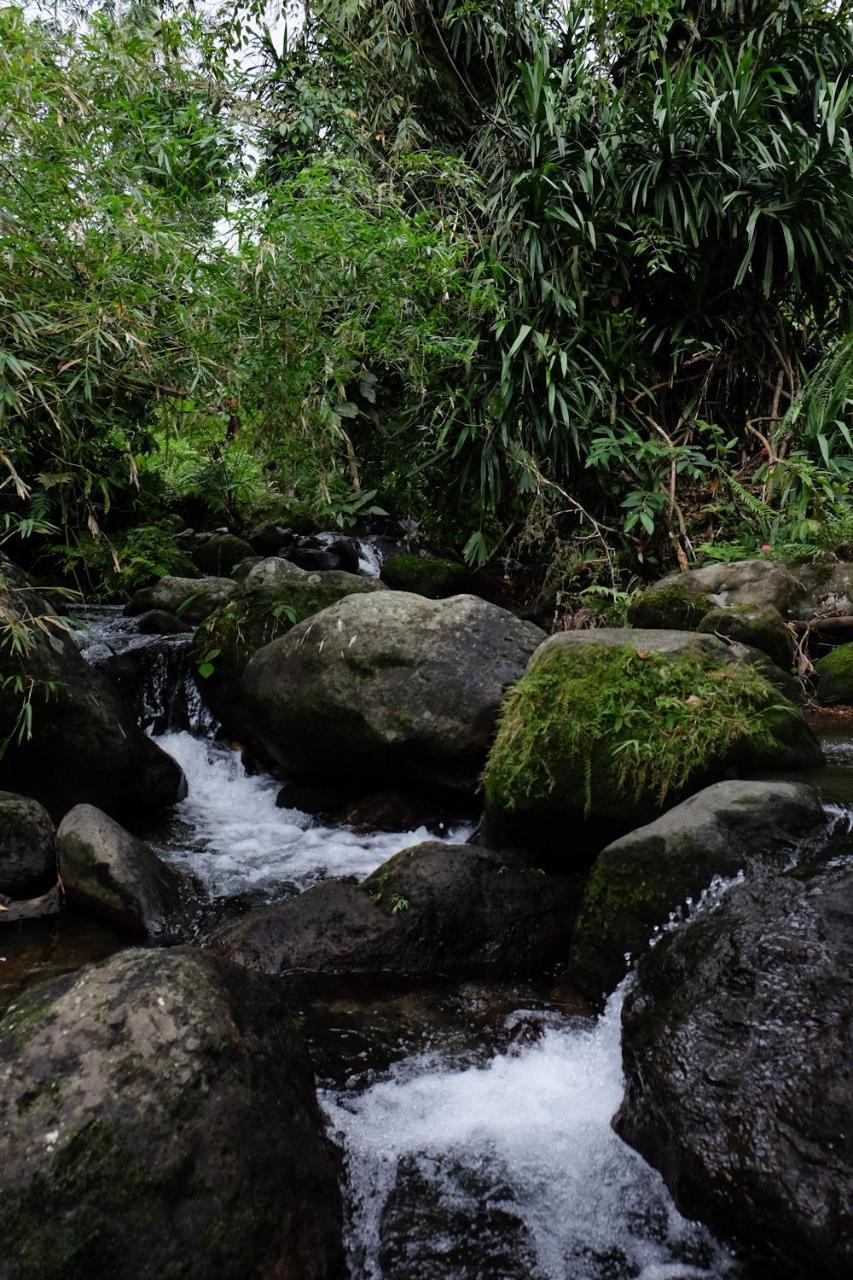 Recidencia Del Hamor Sorsogon Exterior photo